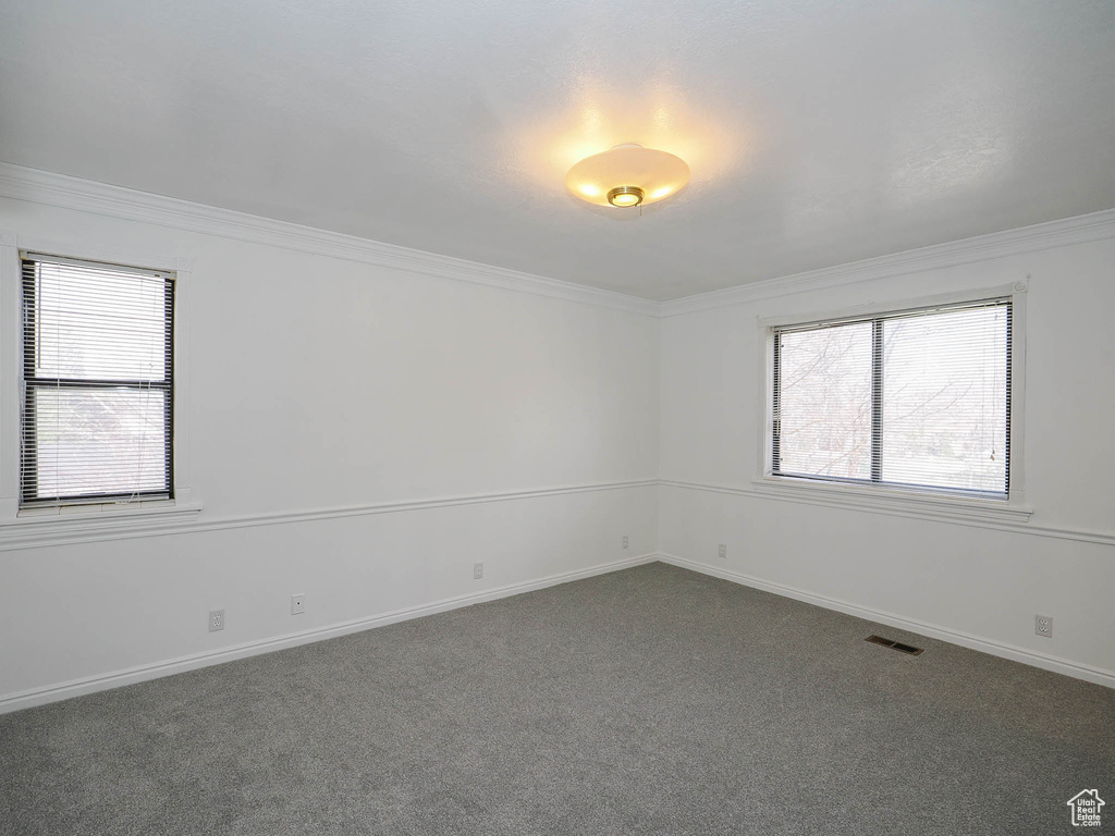 Carpeted spare room featuring plenty of natural light and crown molding