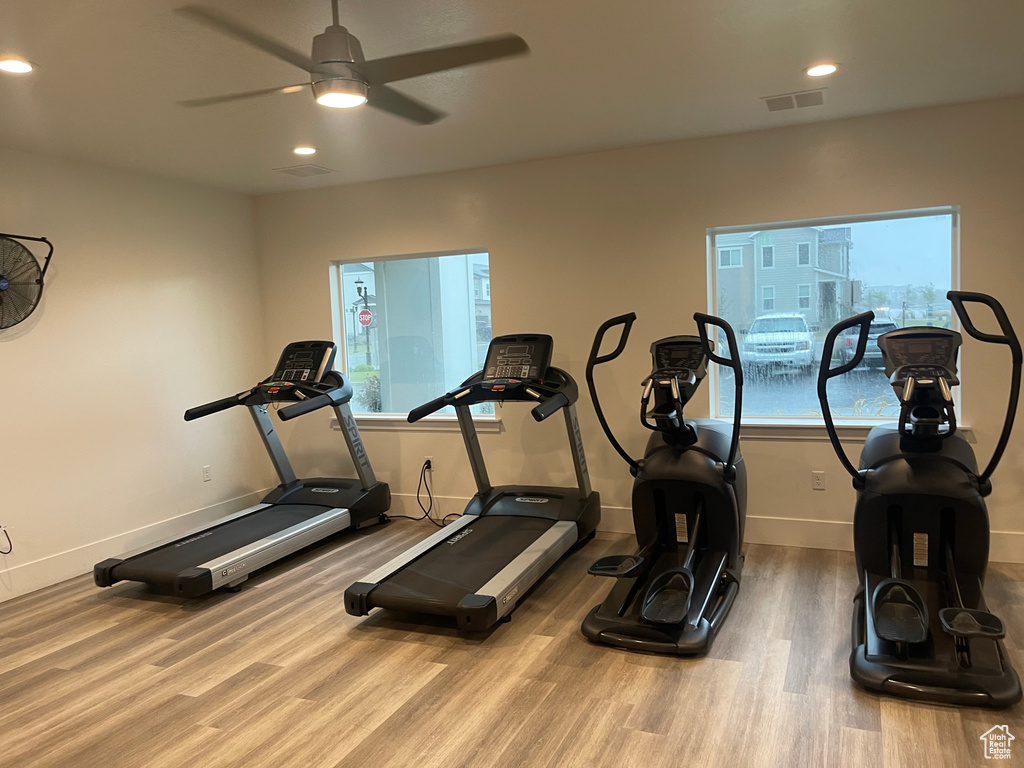 Exercise area featuring ceiling fan, light hardwood / wood-style flooring, and a healthy amount of sunlight