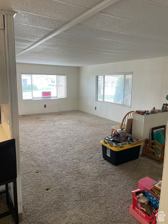 Recreation room with a textured ceiling and carpet