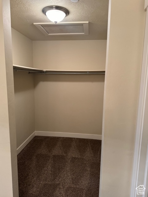 Walk in closet featuring dark colored carpet