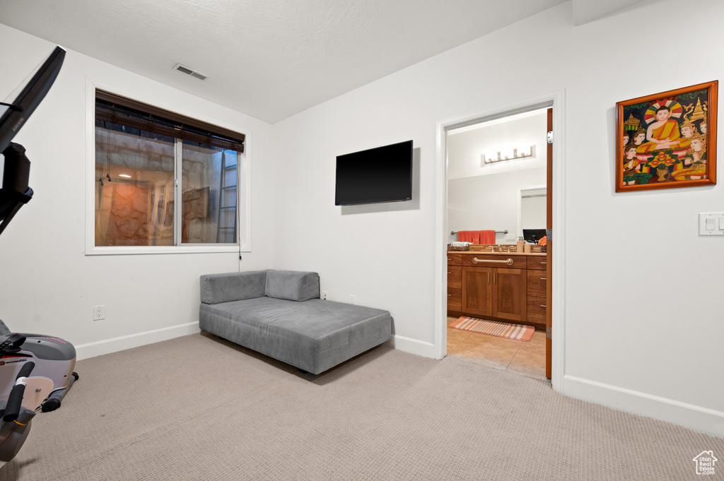 Living area featuring light colored carpet
