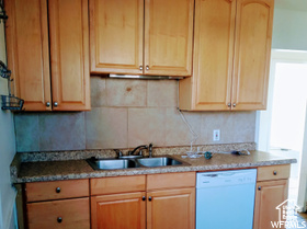 Kitchen featuring tasteful backsplash, stone countertops, sink, and dishwasher