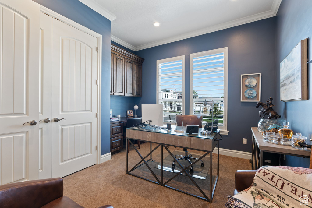 Office featuring plenty of natural light, crown molding, and light carpet