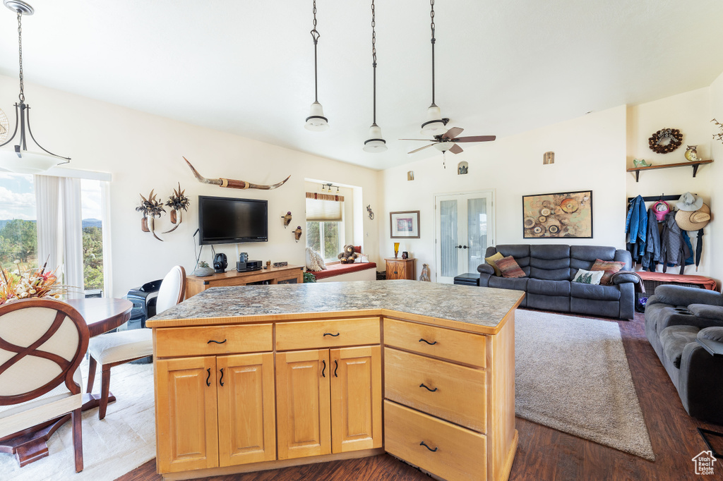 Kitchen with ceiling fan, pendant lighting, plenty of natural light, and dark hardwood / wood-style flooring