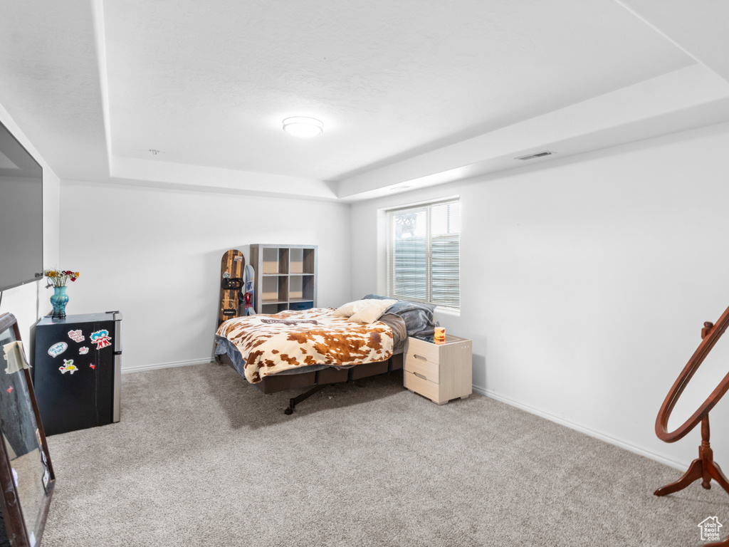 Carpeted bedroom with a raised ceiling