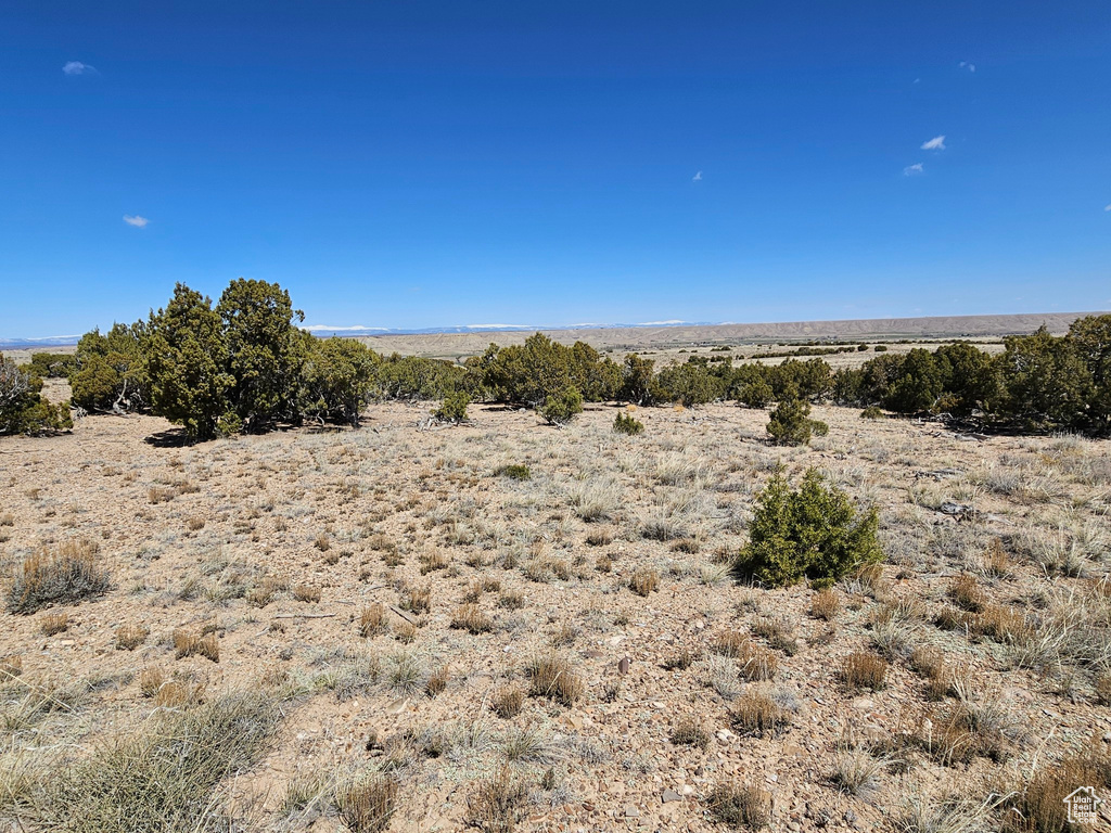 View of local wilderness with a rural view