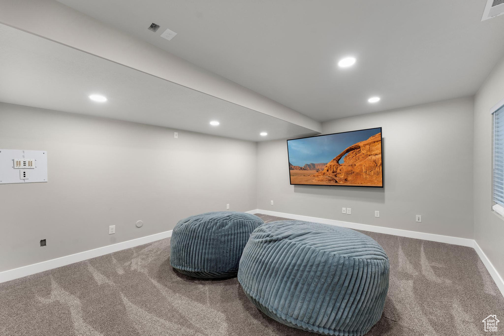 Living area with dark colored carpet