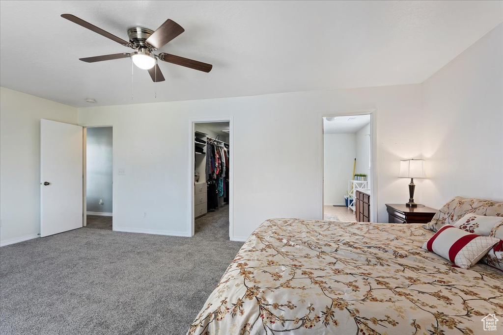 Bedroom with ceiling fan, a closet, carpet floors, and a spacious closet