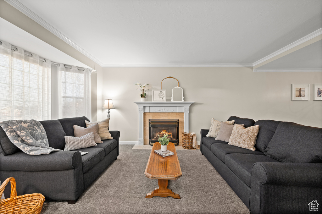 Carpeted living room with a tile fireplace and crown molding