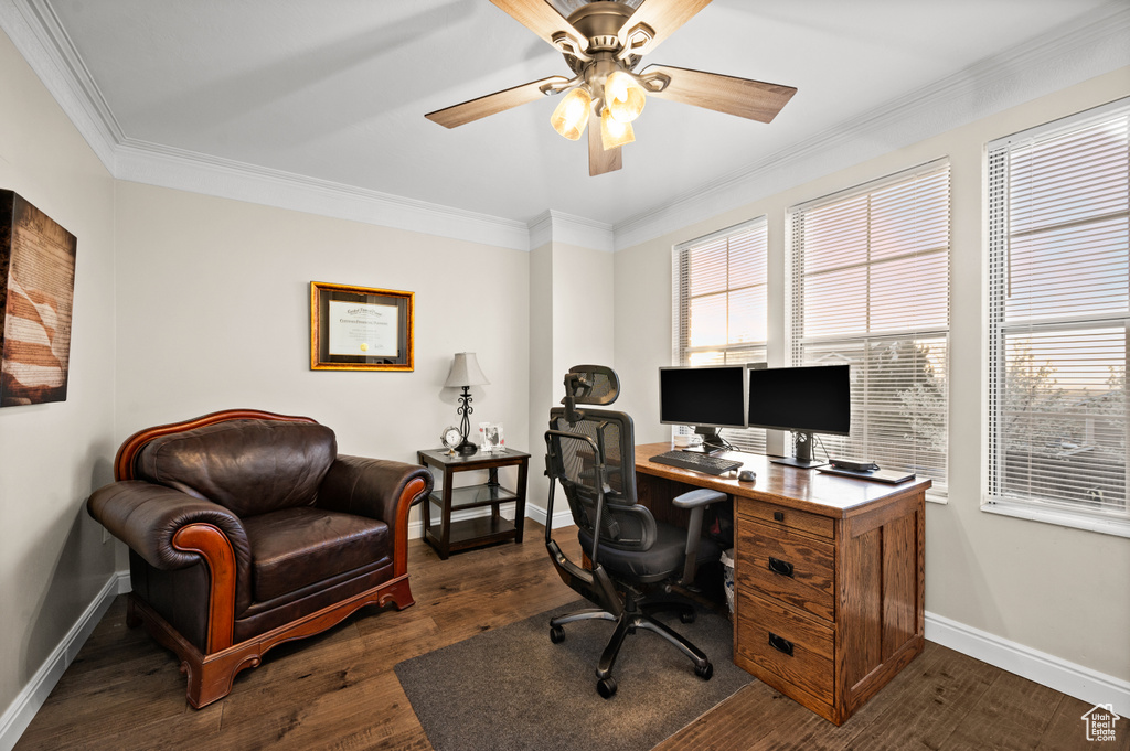Home office featuring ceiling fan, ornamental molding, and dark hardwood / wood-style floors