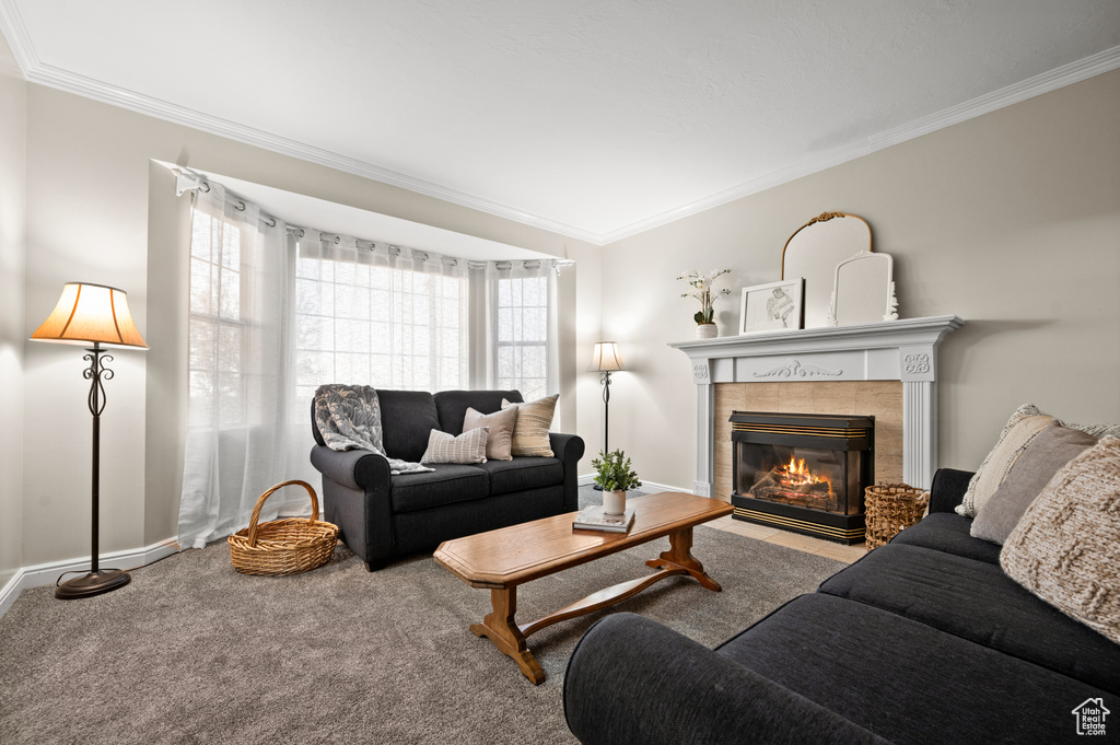 Living room featuring carpet, a tile fireplace, and crown molding