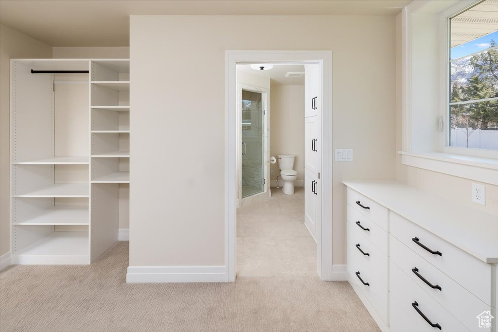 Interior space with connected bathroom and light colored carpet