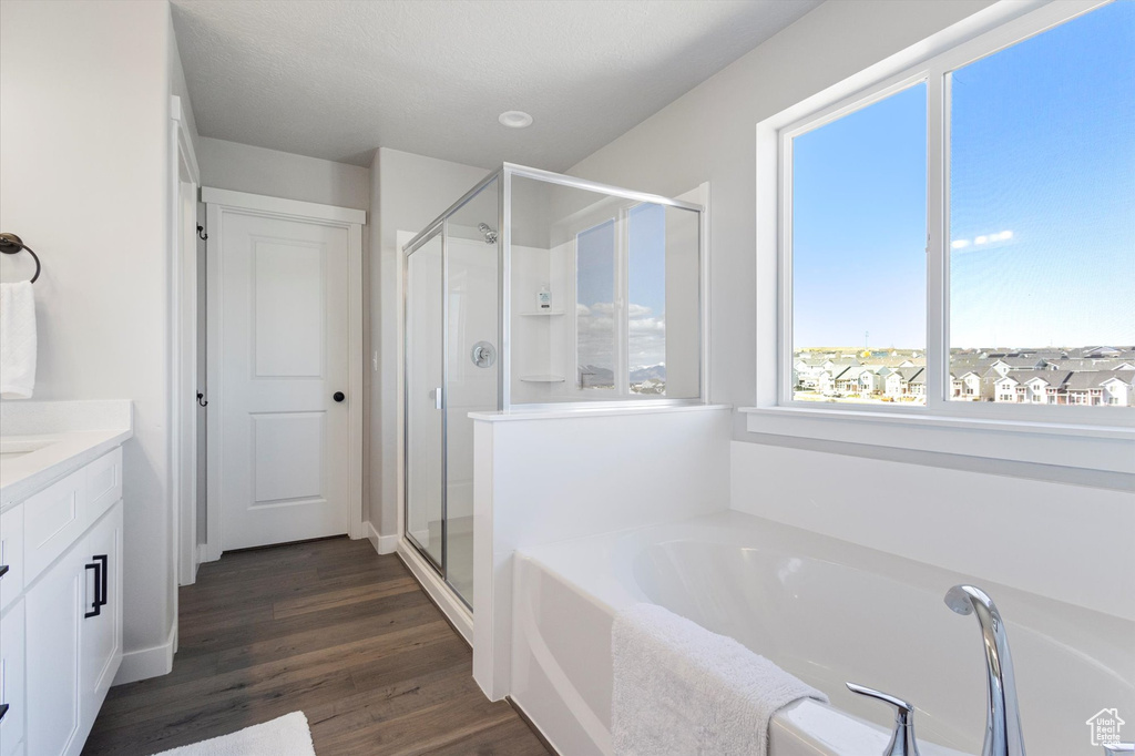 Bathroom featuring plenty of natural light, separate shower and tub, hardwood / wood-style floors, and vanity