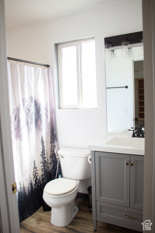 Bathroom with hardwood / wood-style flooring, toilet, and vanity