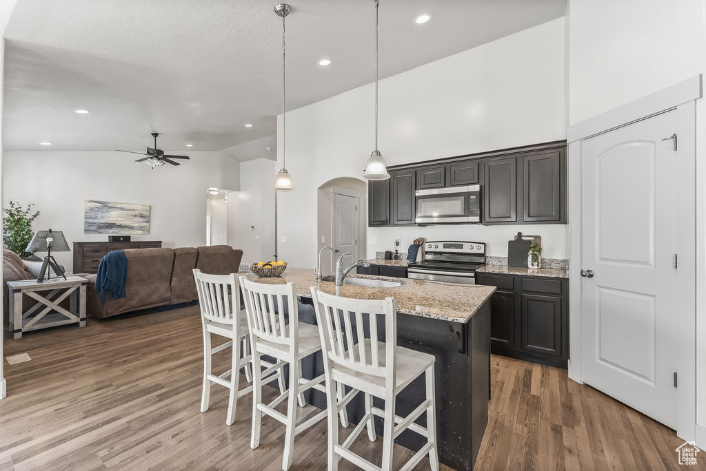 Kitchen with ceiling fan, appliances with stainless steel finishes, hardwood / wood-style floors, and pendant lighting