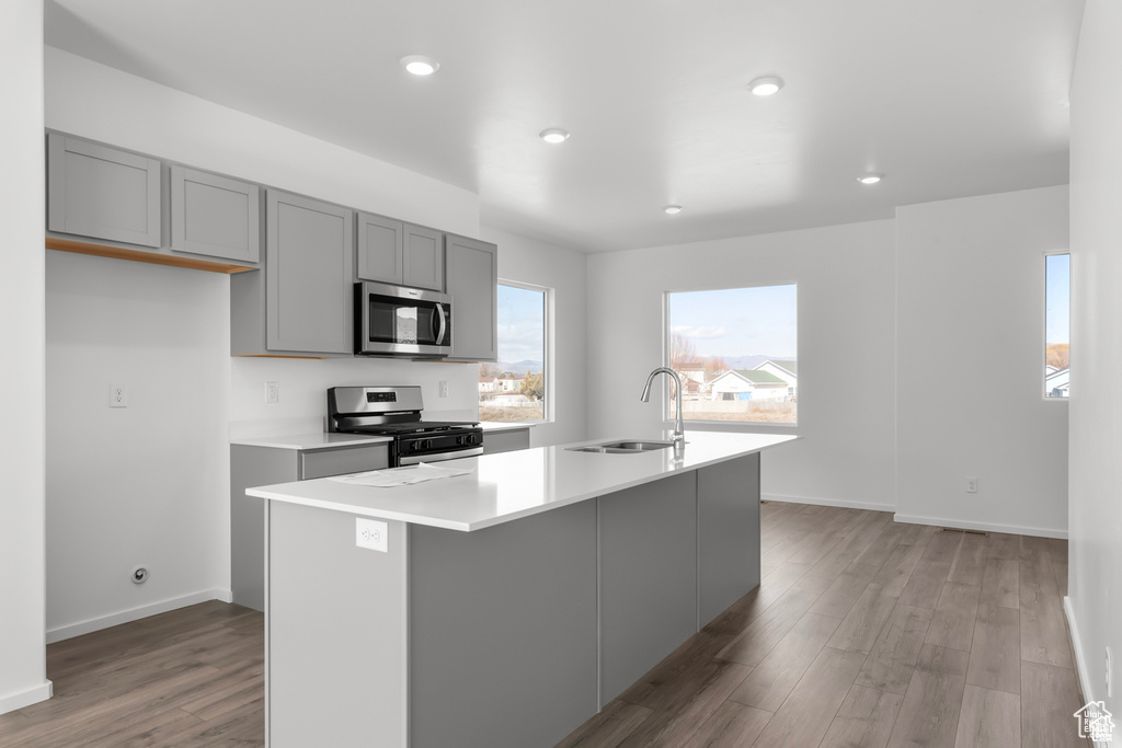 Kitchen with appliances with stainless steel finishes, sink, gray cabinets, wood-type flooring, and a kitchen island with sink