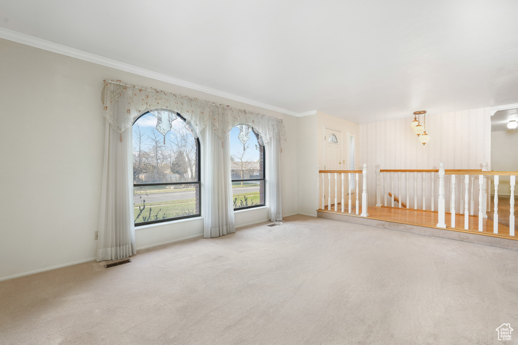 Unfurnished room featuring crown molding and light colored carpet