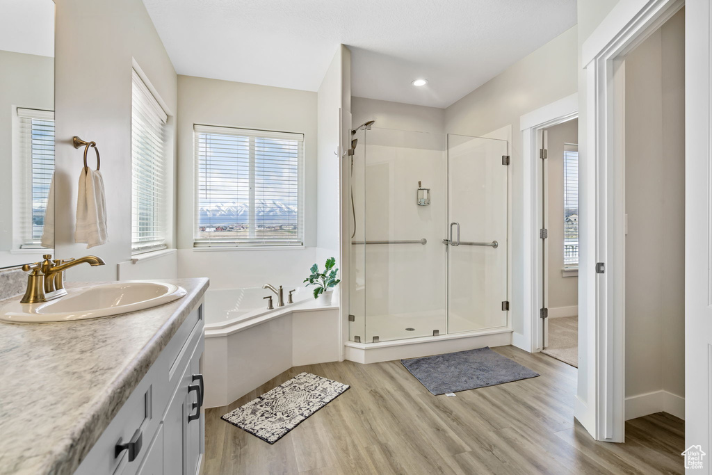 Bathroom with hardwood / wood-style flooring, large vanity, and independent shower and bath