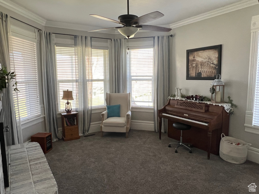 Home office featuring dark carpet, ornamental molding, and ceiling fan