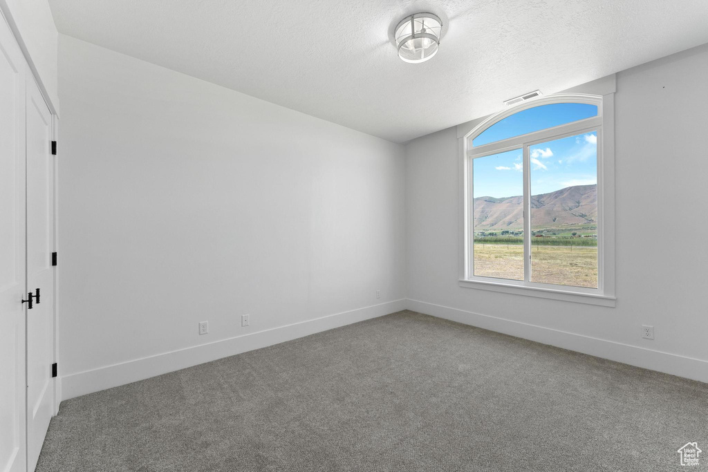 Carpeted empty room featuring a mountain view and a textured ceiling