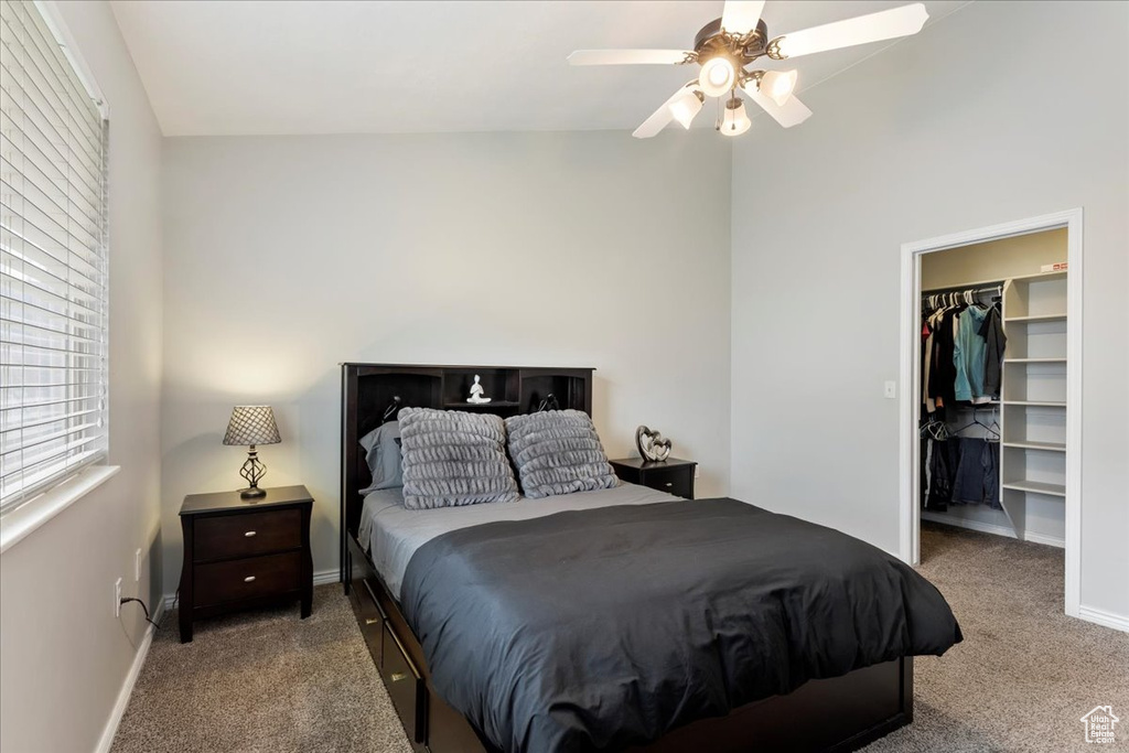Carpeted bedroom featuring a closet, a spacious closet, and ceiling fan