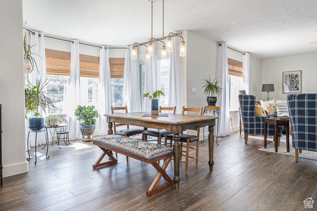 Dining room with dark hardwood / wood-style flooring