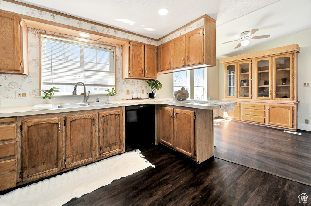 Kitchen with dark hardwood / wood-style floors, dishwasher, ceiling fan, and sink