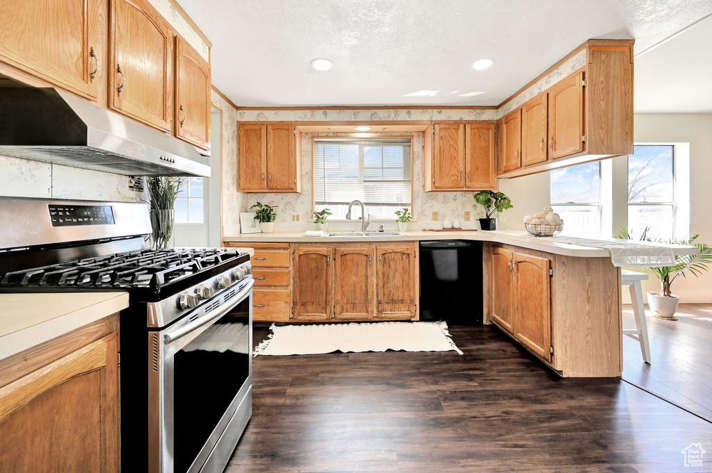 Kitchen featuring black dishwasher, dark hardwood / wood-style floors, gas range, backsplash, and sink