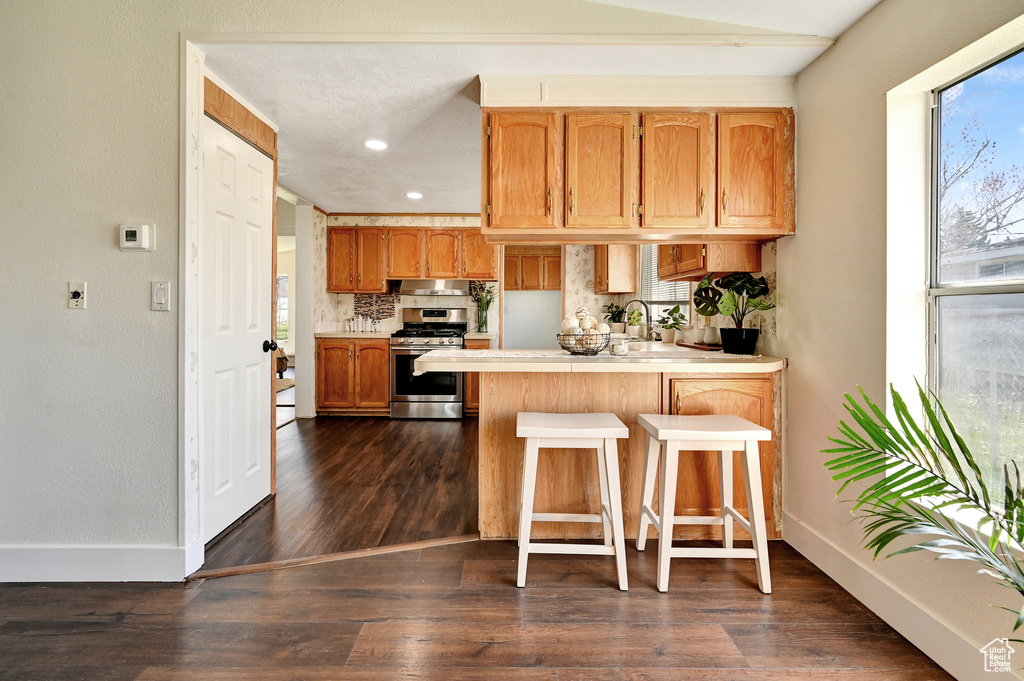 Kitchen featuring dark hardwood / wood-style flooring, tasteful backsplash, a kitchen bar, sink, and stainless steel gas range oven