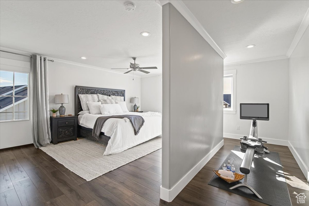 Bedroom with dark hardwood / wood-style floors, crown molding, and ceiling fan