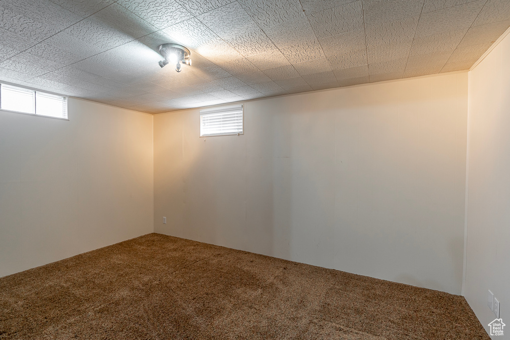 Basement featuring carpet flooring and plenty of natural light