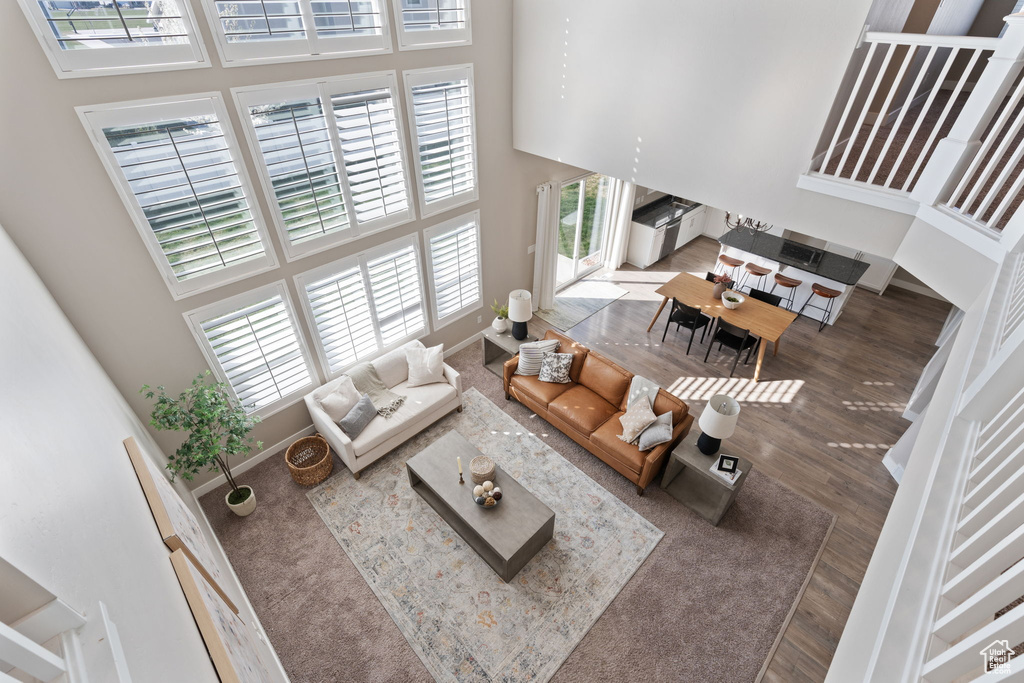 Living room featuring a wealth of natural light, hardwood / wood-style floors, and a towering ceiling