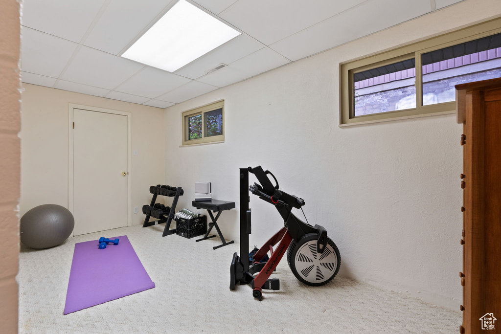 Workout area featuring a paneled ceiling and carpet floors