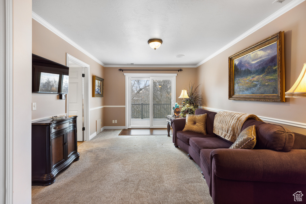 Living room with crown molding and light colored carpet