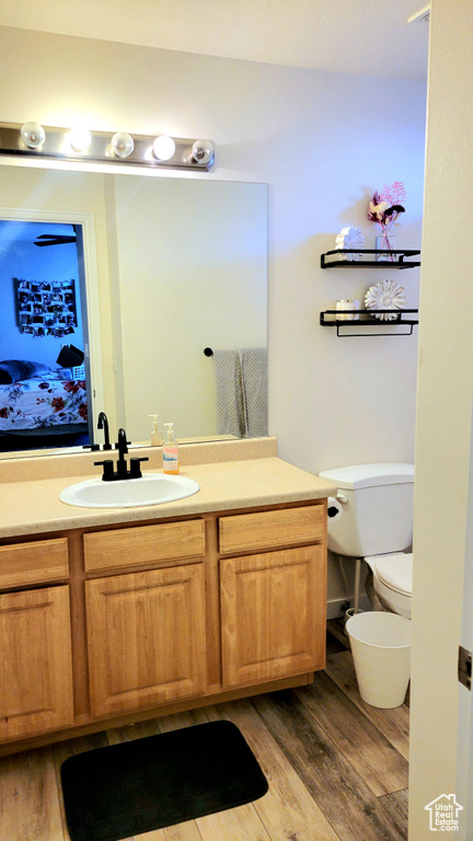 Bathroom featuring vanity, toilet, and hardwood / wood-style floors