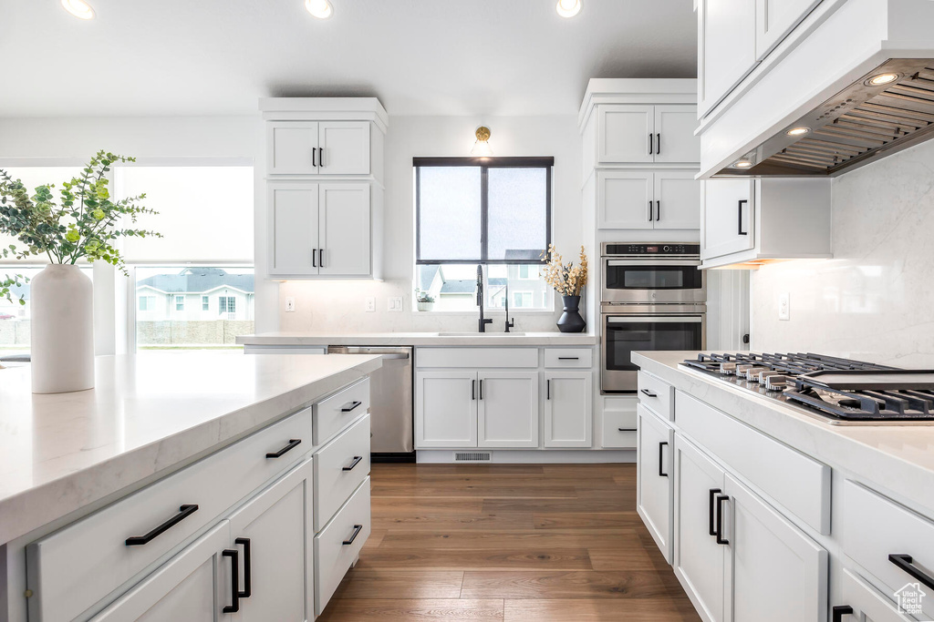 Kitchen with appliances with stainless steel finishes, dark hardwood / wood-style floors, custom range hood, and plenty of natural light