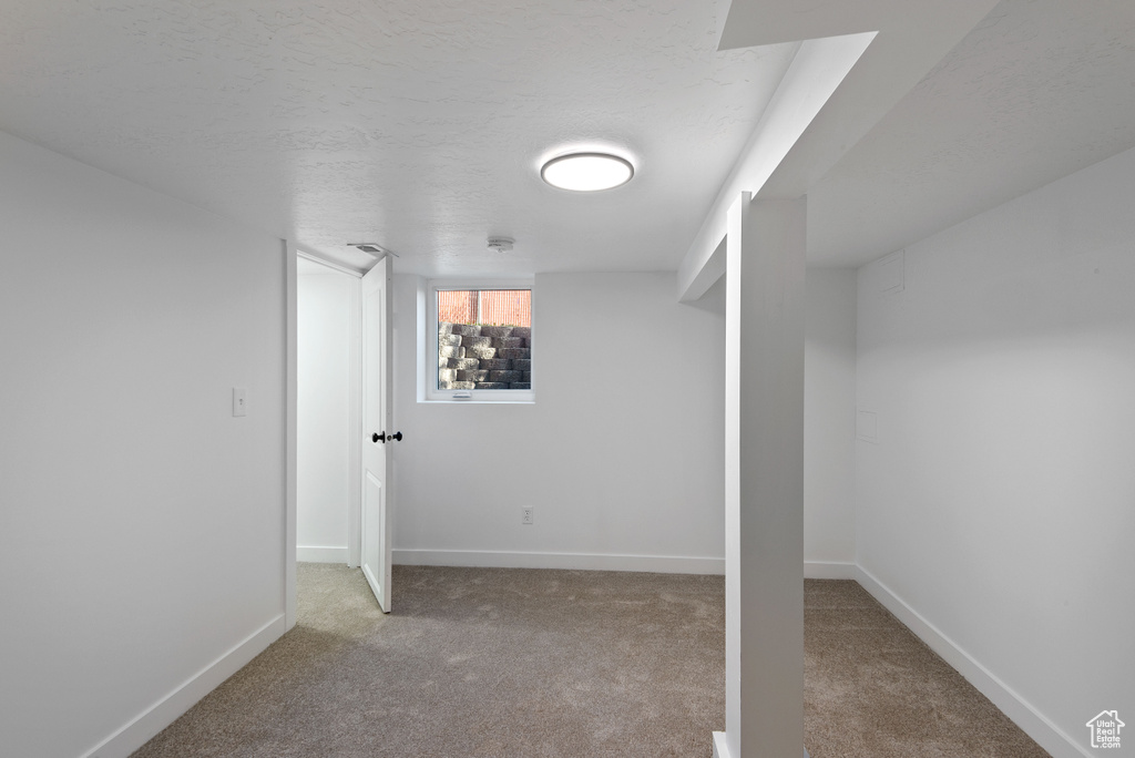Interior space with dark colored carpet