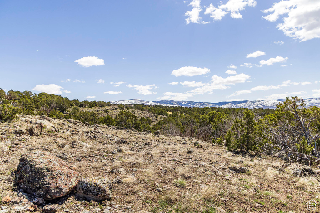 View of local wilderness featuring a mountain view