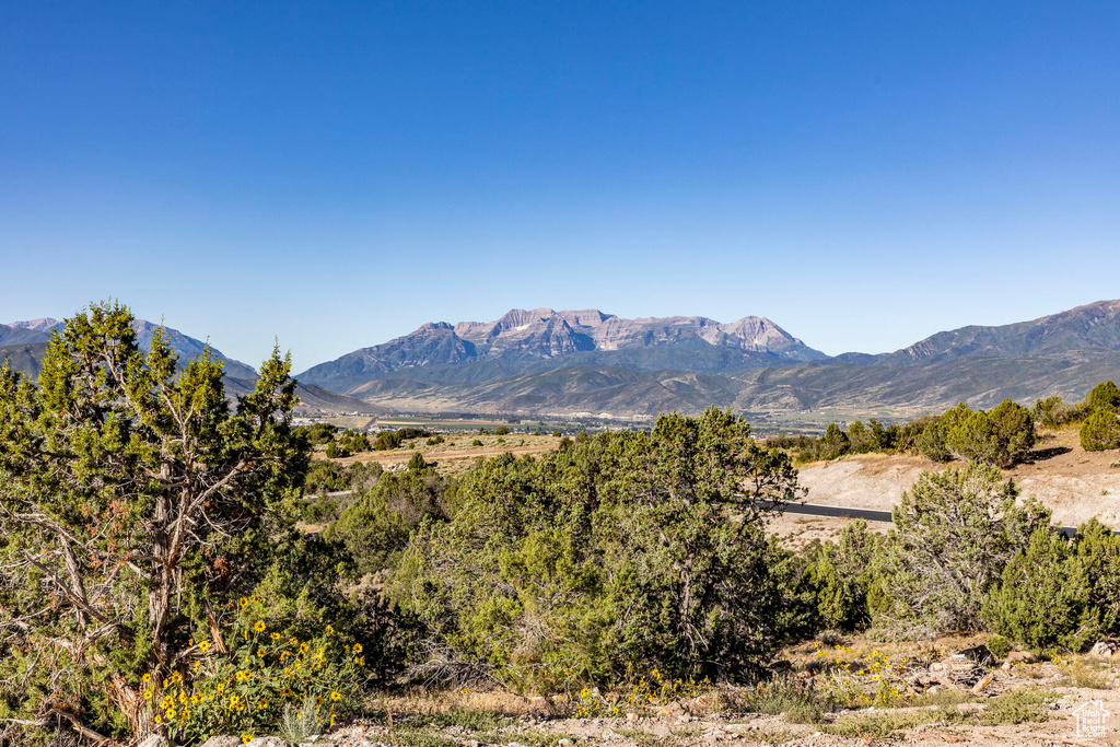 View of property view of mountains