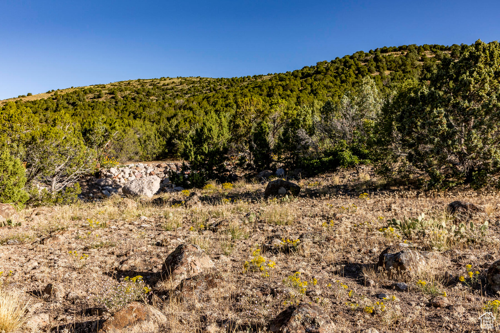 View of mountain view