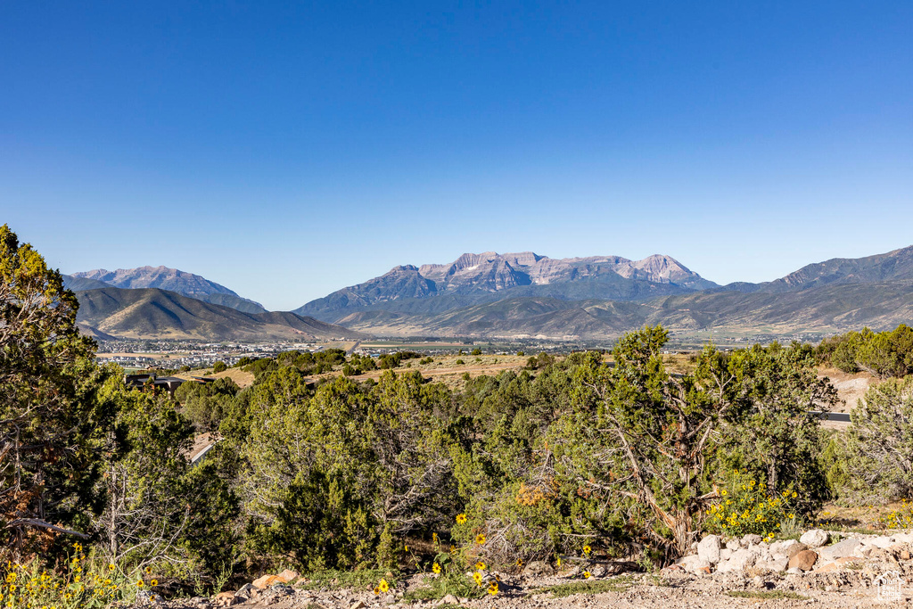 View of property view of mountains