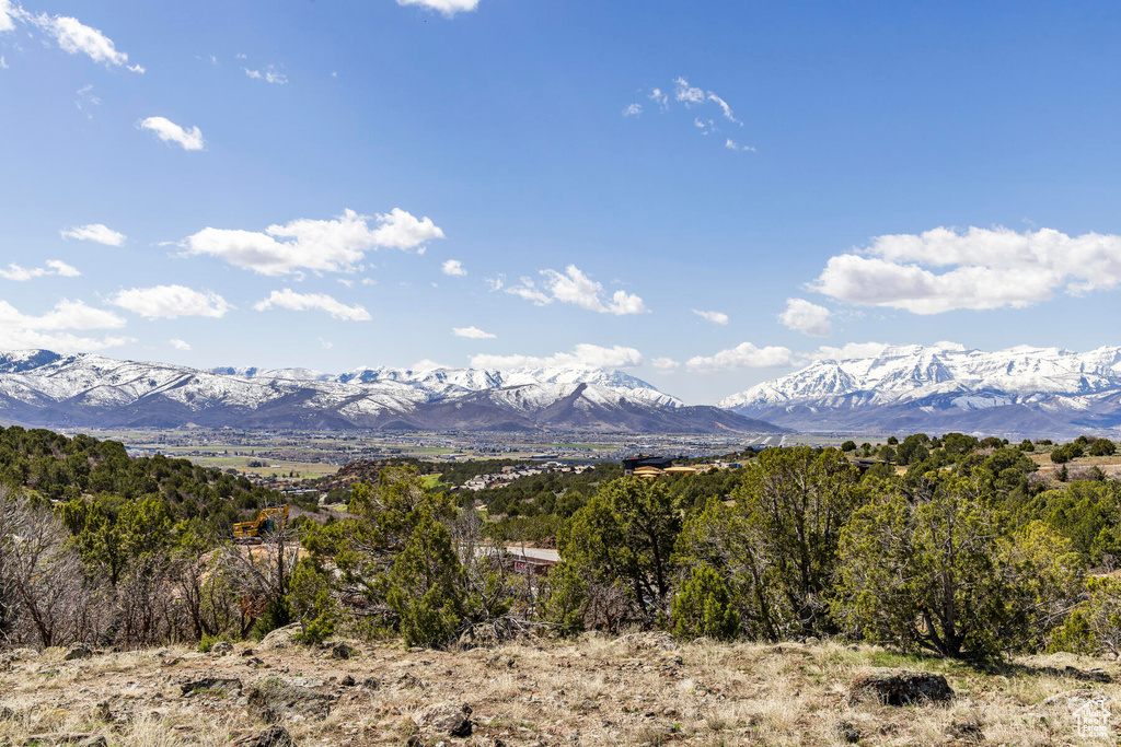 View of property view of mountains