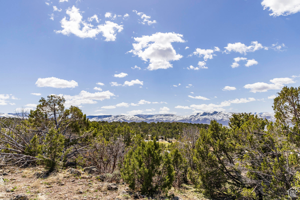 View of local wilderness featuring a mountain view