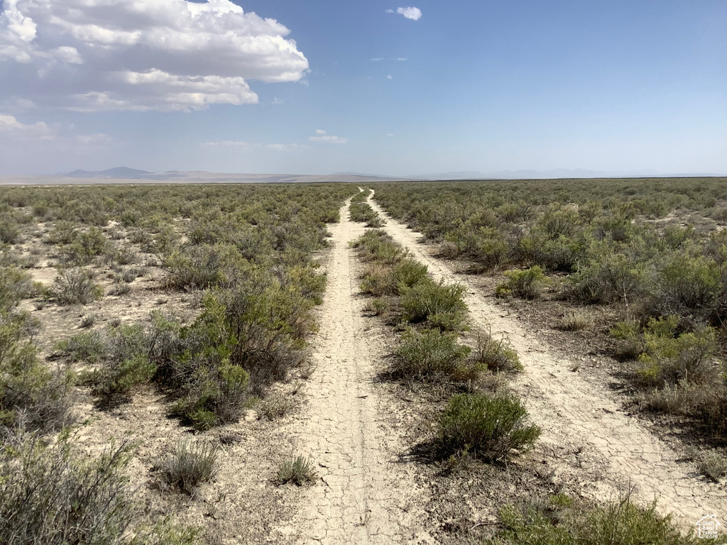 View of local wilderness