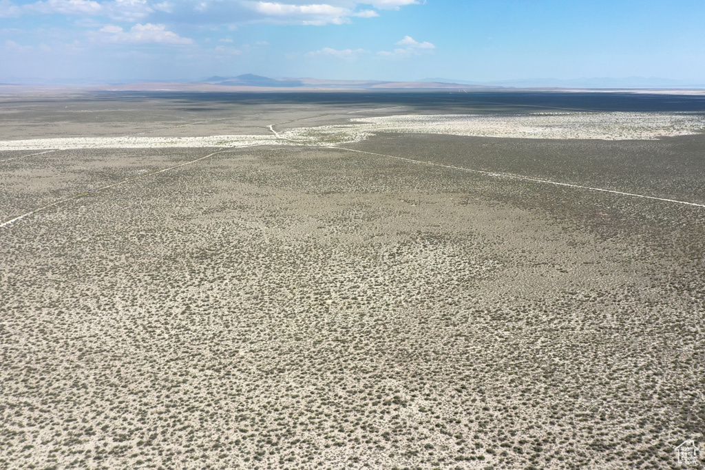 View of bird's eye view