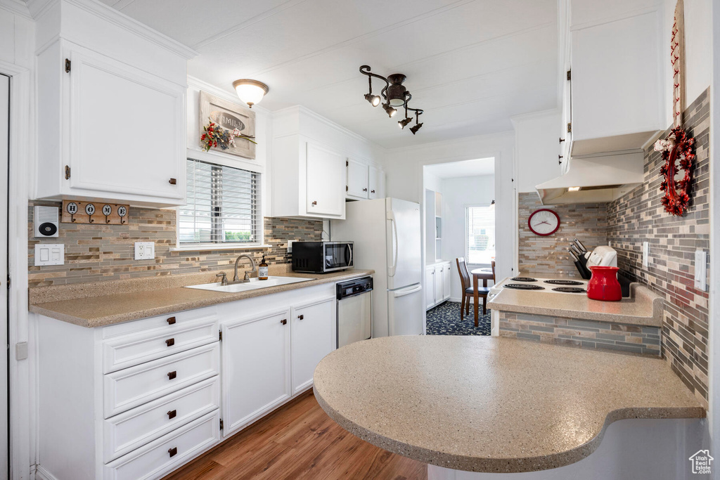 Kitchen featuring backsplash, dark hardwood / wood-style floors, sink, and dishwasher
