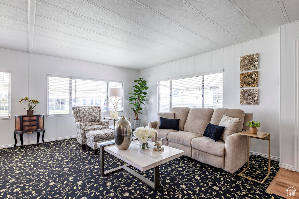 Carpeted living room with a wealth of natural light
