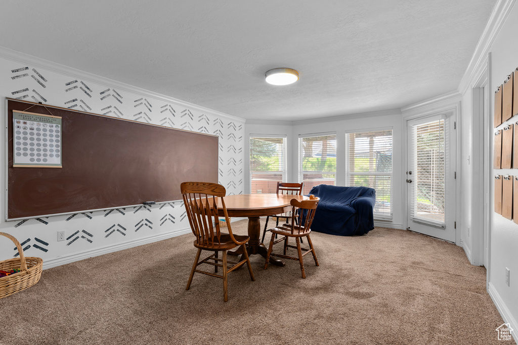 Carpeted dining room with ornamental molding