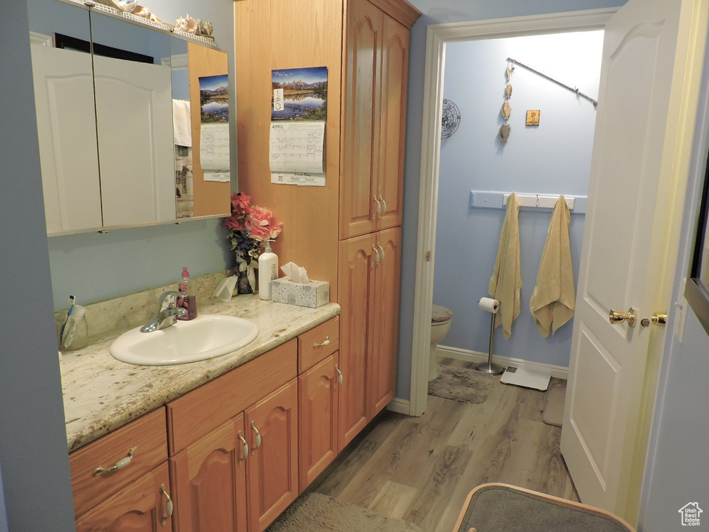 Bathroom featuring vanity, toilet, and hardwood / wood-style flooring