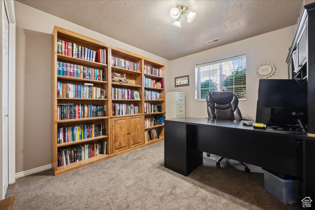 Office space with carpet flooring and a textured ceiling